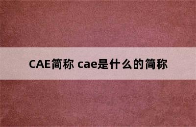 CAE简称 cae是什么的简称